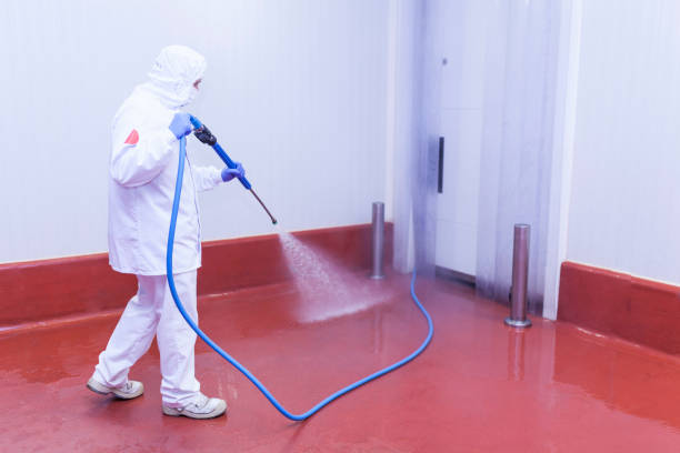 Professional Pressure Washing Services in Westwood Shores, TX